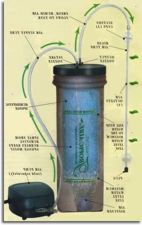 Luftpumpar är en form av akvarium pump. Syresättning.