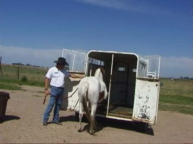 Hur trailer en häst på ett säkert sätt. Utför alltid trailer säkerhetskontroll före lastning av hästen i trailern.