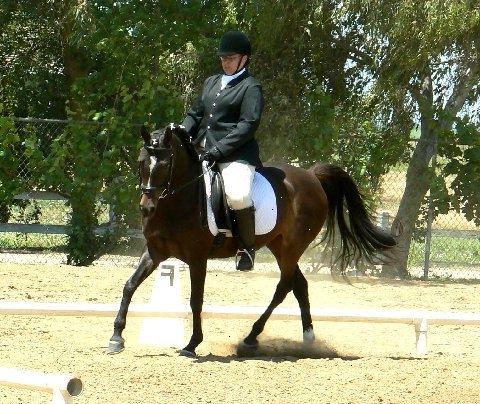 Utbildning hästen i klassisk dressyr formen är nyckeln. Mycket specifika klänning och klibb bärs för dressyr tävling.
